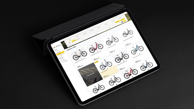 Dienstrad E Bike