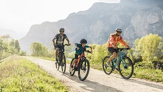 Bild zum Artikel: Rebike Erfahrungen