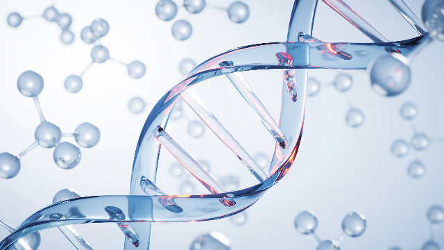 Gesund altern: Choju - Home of epigenetic health